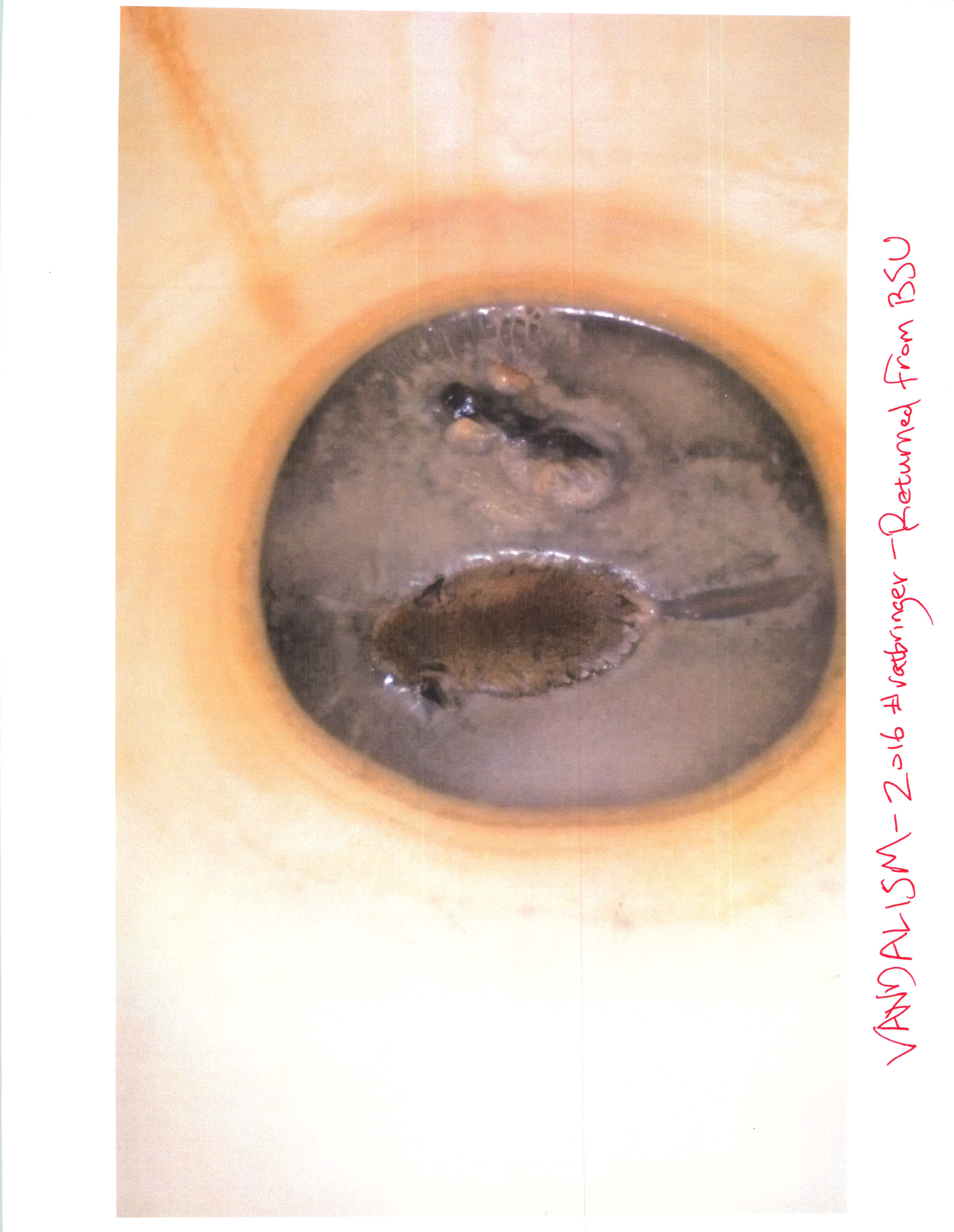 ./2022-02-23 - Kevin Field PhD DROP - p 33.png